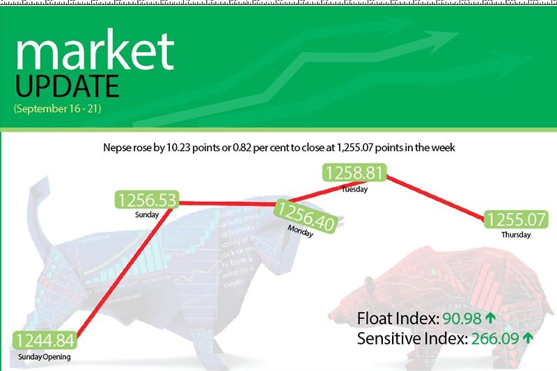 Benchmark index in positive territory