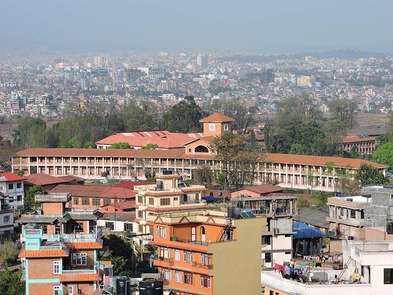 Degree holders from abroad terrorised