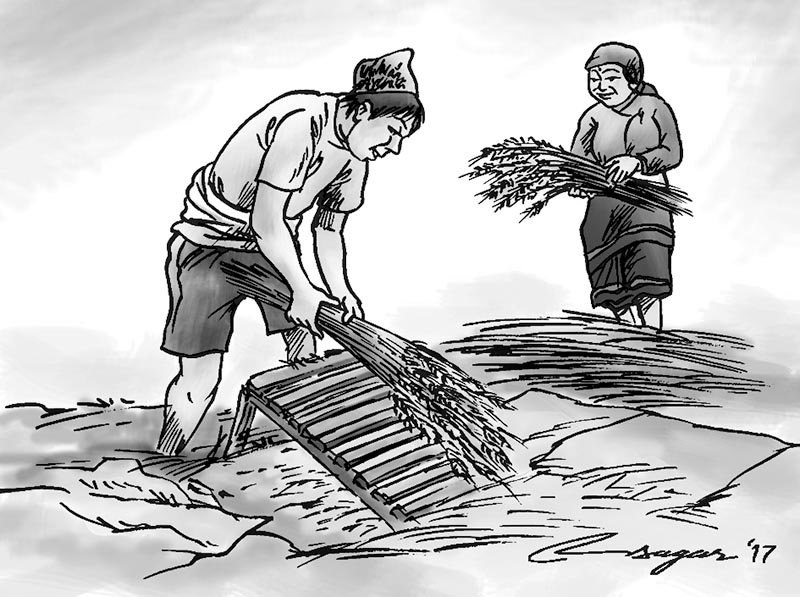 Geographical Indication: With reference to Basmati rice