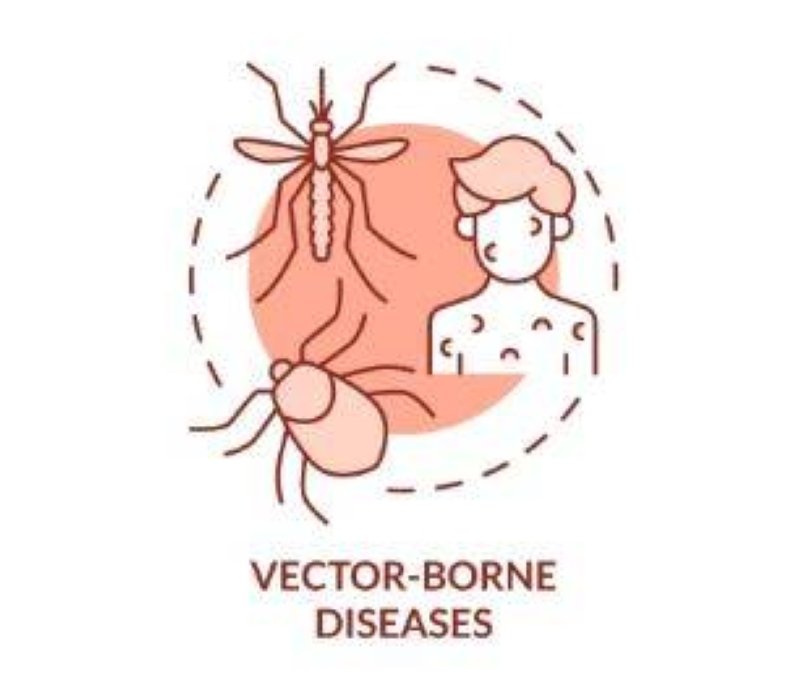 Impact of climate change on vector-borne diseases in Nepal