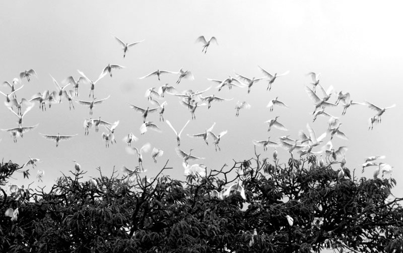 LETTERS: Act before it�s too late