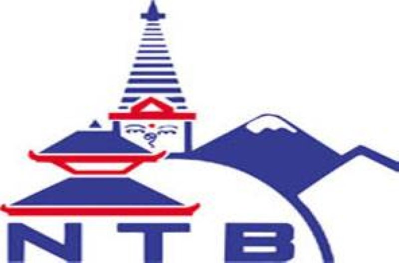 NTB to operate shuttle bus service for tourists on Election Day