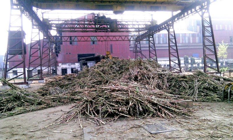 Sugar mills to generate 8 MW electricity this fiscal year