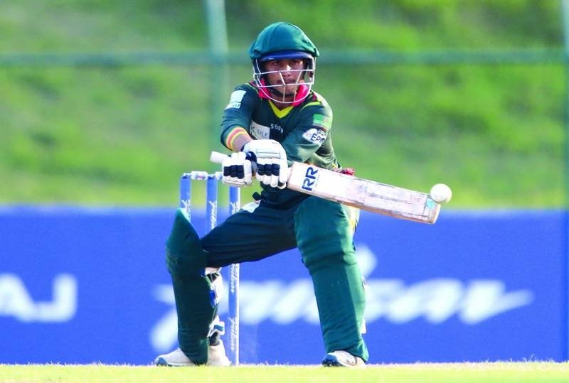 Tigers make it three in a row, Patriots win