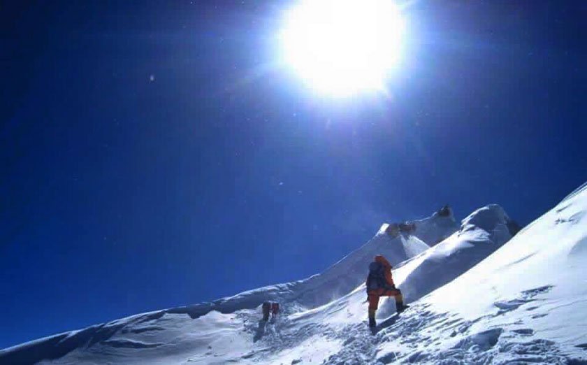 Tourism department to act against Burch