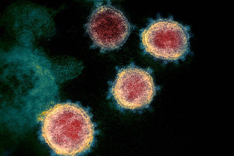 Virus infections top 600,000 worldwide, long fight ahead